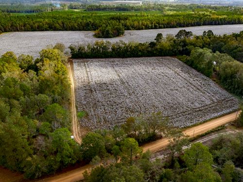 Old Magnolia Farm : Statesboro : Bulloch County : Georgia