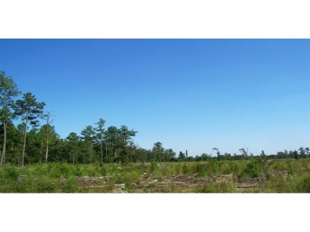 36 Acres : Dunbar : Marlboro County : South Carolina