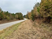Price Adjustment, 91 Acres Ver : Vernon : Lamar County : Alabama