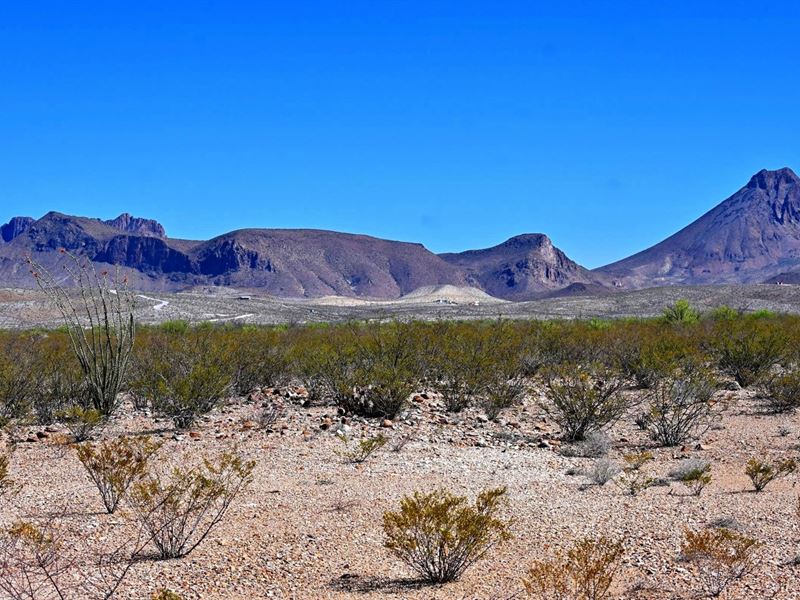 Starry Nights & Mtn Views : Terlingua : Brewster County : Texas