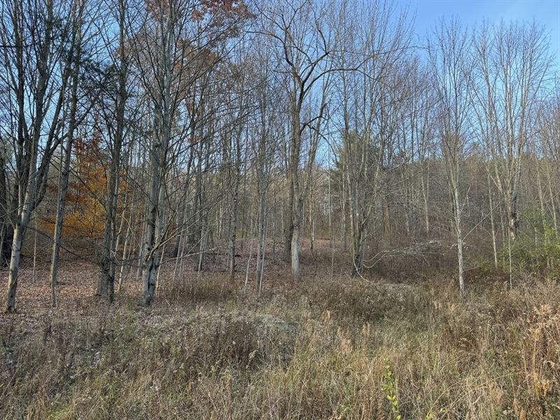 Finger Lakes Home Site : Erin : Chemung County : New York