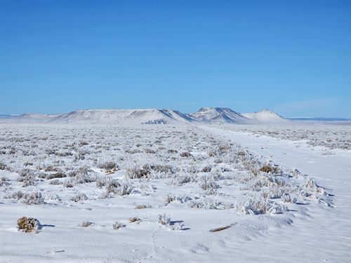 5 Pristine Acres in San Luis, $179 : San Luis : Costilla County : Colorado