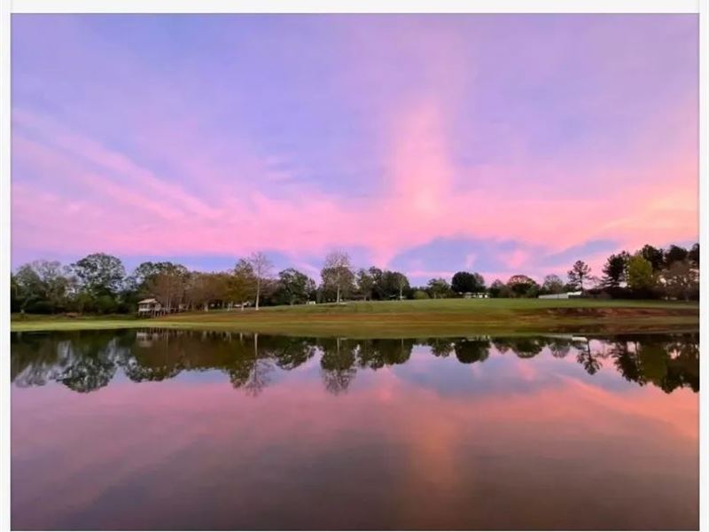 3 Residences / Shop/ Lake and Pond : Kentwood : Tangipahoa Parish : Louisiana