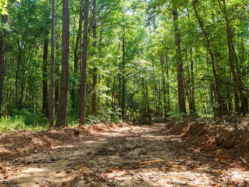Invest, No Credit Check : Sulligent : Lamar County : Alabama
