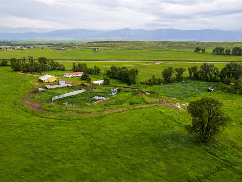 Terry Ranch Five Mile Unit : Ranchester : Sheridan County : Wyoming