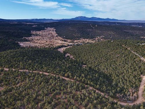 20 Acres in Torrance County, NM : Edgewood : Torrance County : New Mexico