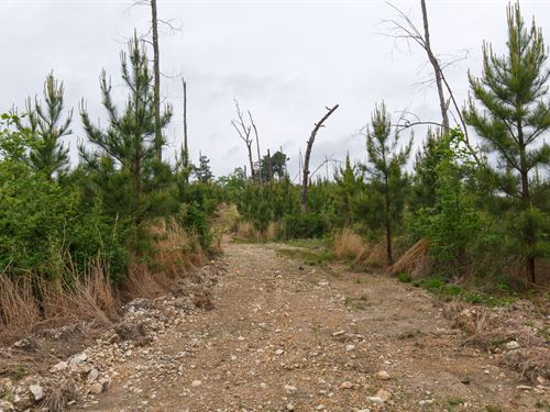 No Credit Check and $999 Down : Holladay : Benton County : Tennessee