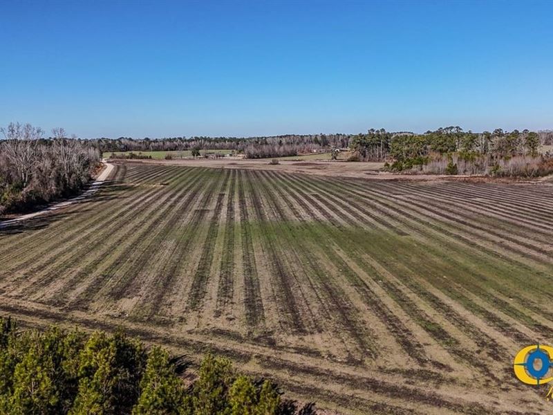 Grist Mill Northwest : Timmonsville : Florence County : South Carolina