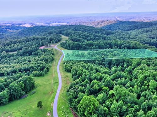 5.4 Wooded Acres, Access & No HOA : Indian Mound : Stewart County : Tennessee