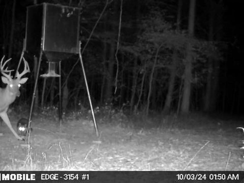 Clay County, 180 Acres, The Total : Mantee : Clay County : Mississippi