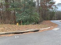 35 Acres Rome, GA : Rome : Floyd County : Georgia