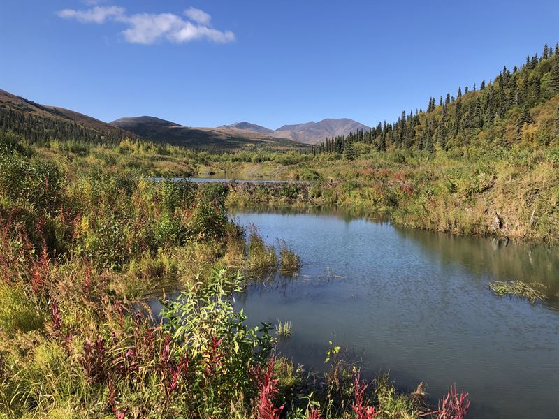 Marvel Creek Gold Mine : Aniak : Bethel Borough : Alaska