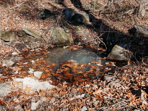 27 Acres In Hamilton County, TN : Chattanooga : Hamilton County : Tennessee