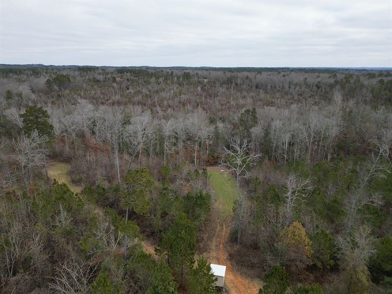 82 Acres Benevola Pickens Count : Gordo : Pickens County : Alabama
