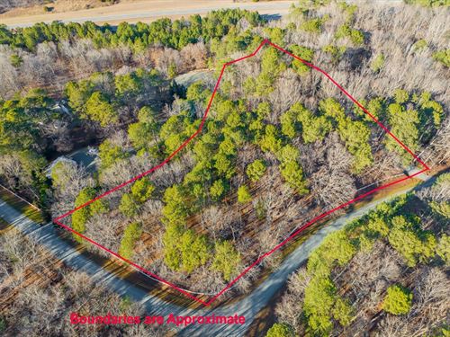 Near The Haw River / Jordan Lake : Pittsboro : Chatham County : North Carolina