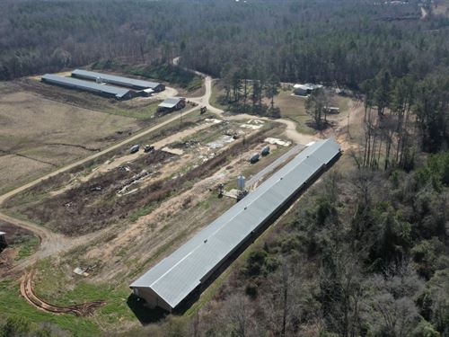 Well Done Breeder Farm : Wadley : Randolph County : Alabama