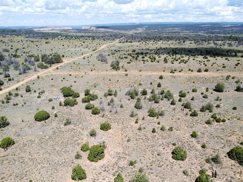 Spacious 5.07 Acre with Power : Pinehill : Cibola County : New Mexico