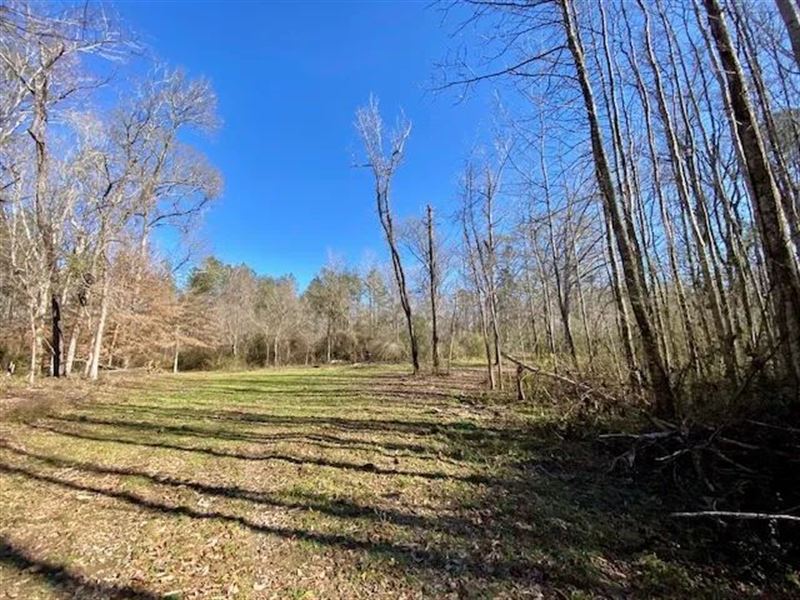 Home on 110 Acres, Amite County : Magnolia : Amite County : Mississippi