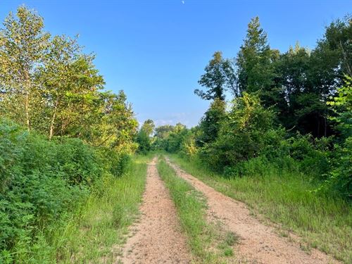 Brush Creek 273 : Akron : Hale County : Alabama