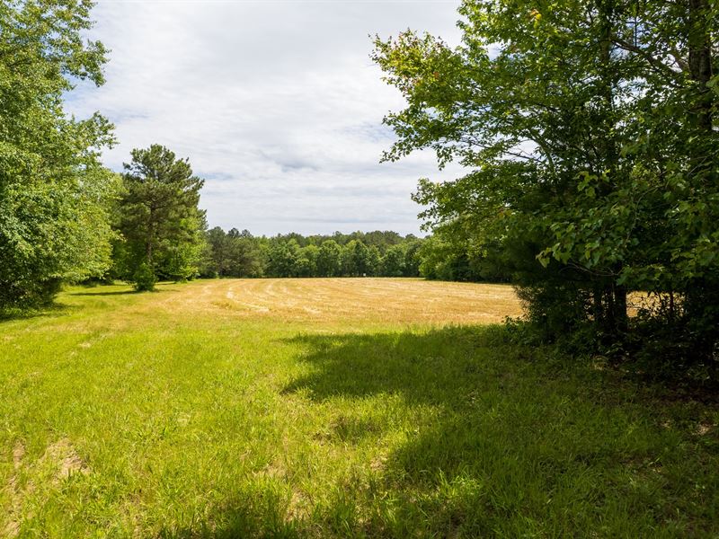 45 Acres Jackson County, Alabama : Flat Rock : Jackson County : Alabama