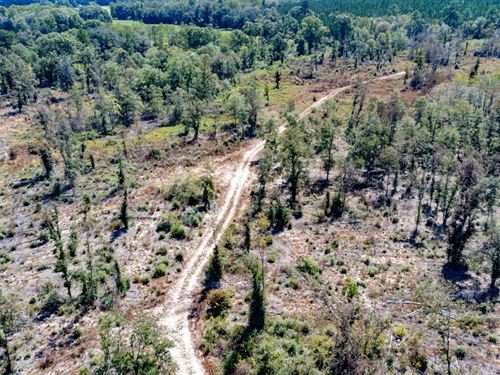 15 Ac Mini-Farm Perfect For Homesit : Bonifay : Holmes County : Florida