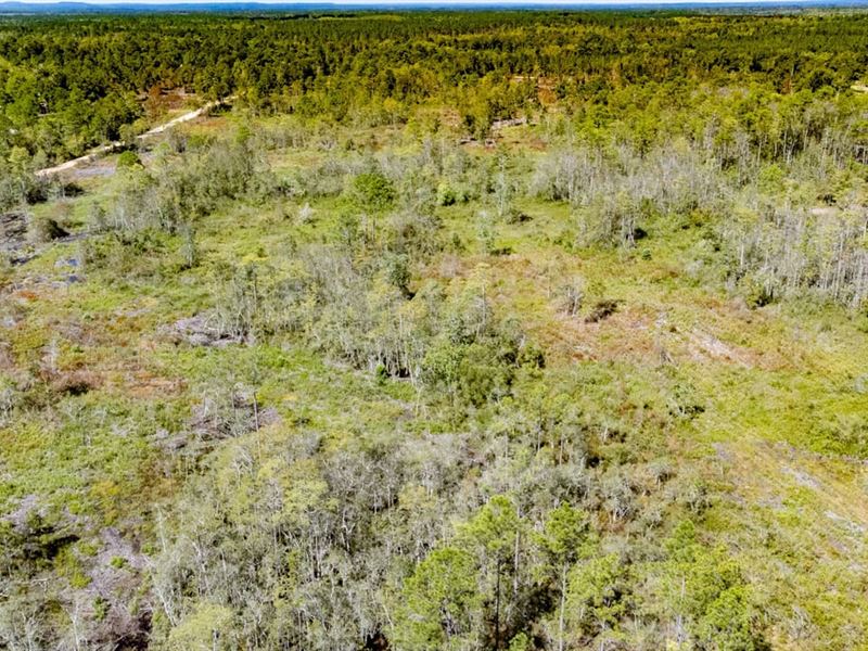 122 Ac Recreational Timberland Inve : Bonifay : Holmes County : Florida