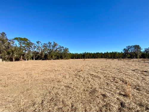 39.19 Acres on Captain Brown Rd : Madison : Florida