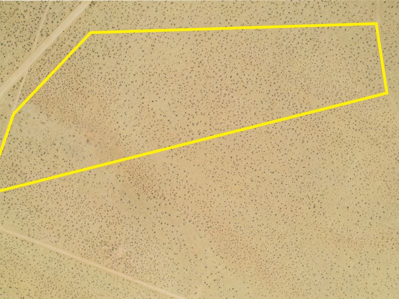 Vast Open Space : California City : Kern County : California