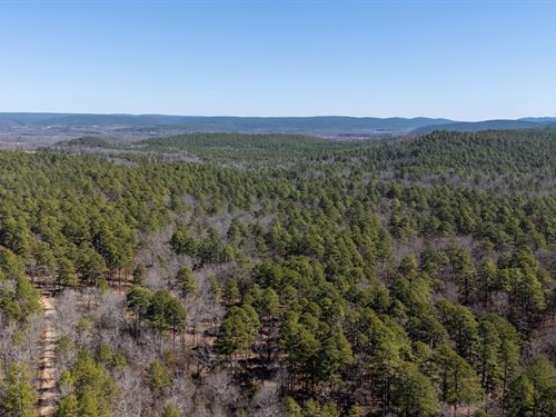 Ouachita Forest 148 : Waldron : Scott County : Arkansas