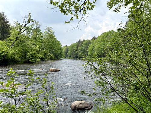 Cedar River, Adirondacks : Indian Lake : Hamilton County : New York