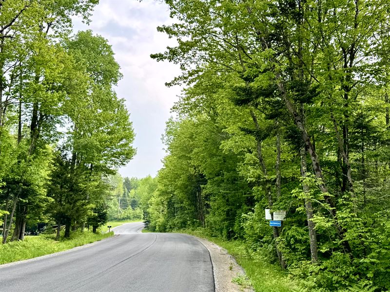 Cedar River, Adirondacks : Indian Lake : Hamilton County : New York