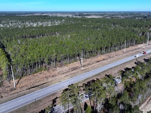 Residential and Timberland Land : Boivia : Brunswick County : North Carolina