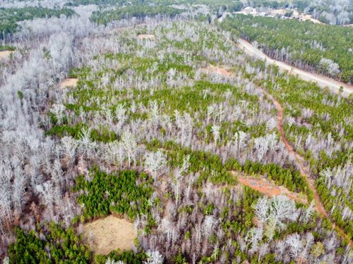 40 Acre Homestead And Recreatio : Wadley : Chambers County : Alabama