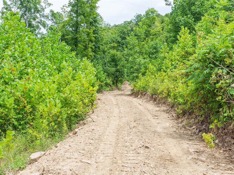 Rockcastle Waterfront Property : McKee : Jackson County : Kentucky