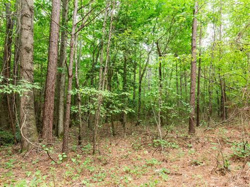 $999 Down, No Credit Check : Lexington : Henderson County : Tennessee