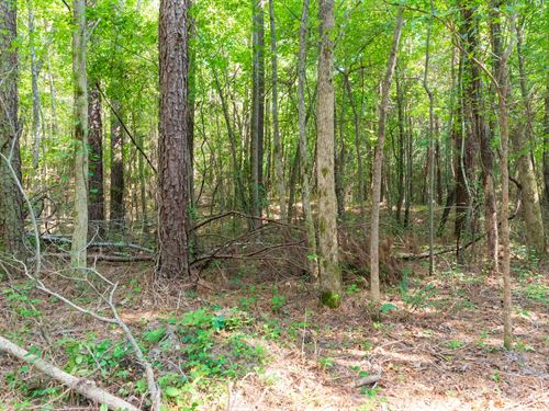 Off of Joe Horton Rd : Lexington : Henderson County : Tennessee