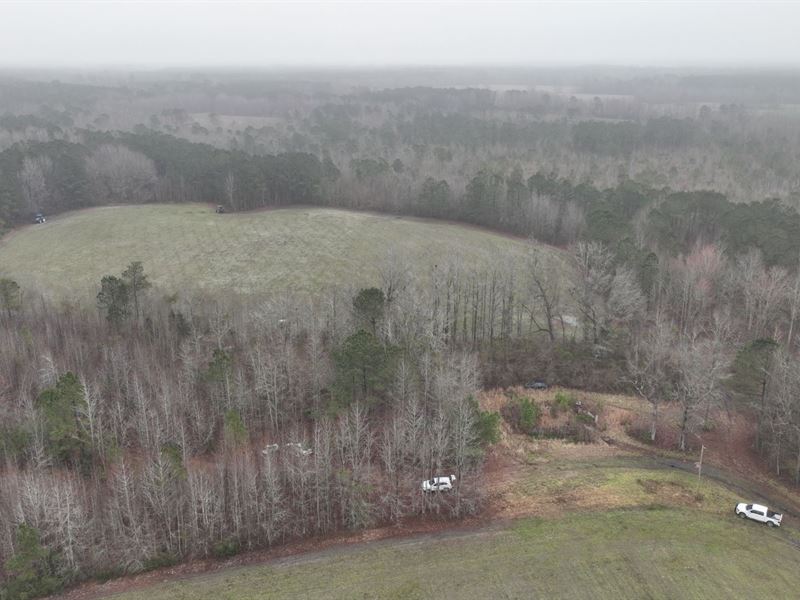 5 Acres in Williamsburg County, SC : Lake City : Williamsburg County : South Carolina