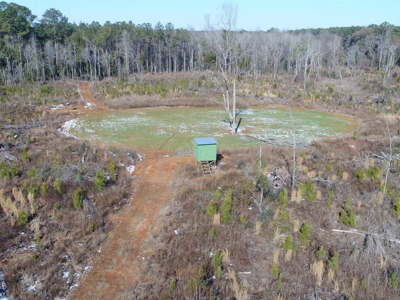47 Acres Butler Co : Honoraville : Butler County : Alabama