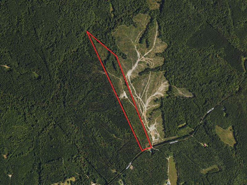 31.06 Acres of Ti : Broadway : Harnett County : North Carolina