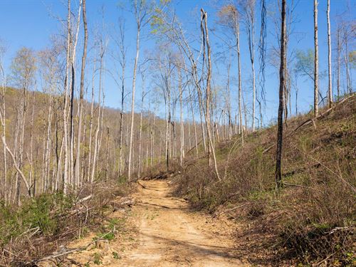 No Credit Check Kentucky Land : Mount Vernon : Rockcastle County : Kentucky