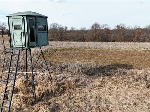 38.51 Ac. Pike Co. Spring Creek Twp : Nebo : Pike County : Illinois