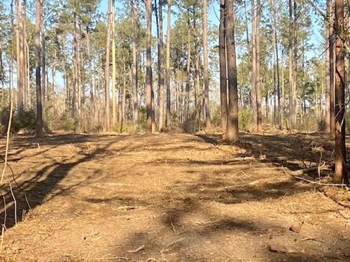 15.4 Acres, Tylertown, MS : Tylertown : Walthall County : Mississippi