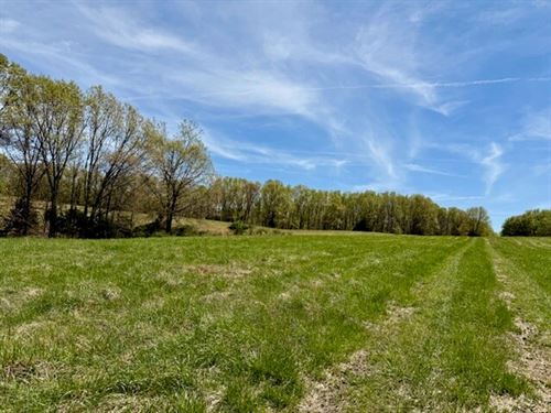 229.9 Acres, Timber, Pasture, Elect : Ava : Douglas County : Missouri