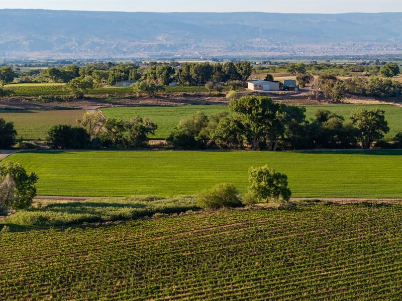 Farm and Ranch Acreage with Shop Be : Olathe : Montrose County : Colorado