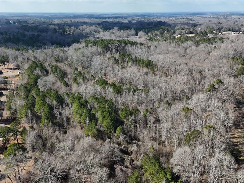 21 Acres, Lafayette Chambers Co : Lafayette : Chambers County : Alabama