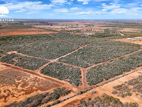 Jourdanton 101-T2, Only $15K Down : Jourdanton : Atascosa County : Texas