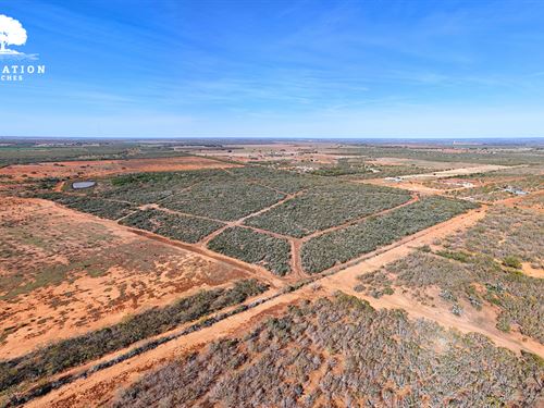 Jourdanton 101-T4, Only $15K Down : Jourdanton : Atascosa County : Texas