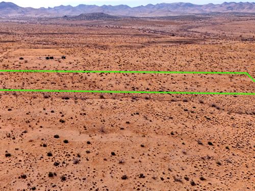 Your Desert Escape, 5 Acres : Kingman : Mohave County : Arizona