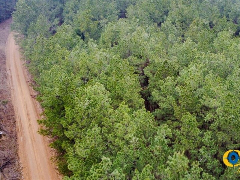 Dallas 170 : Fordyce : Dallas County : Arkansas