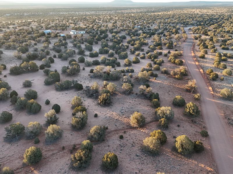 11.1 Acres for Off-Grid Living : Snowflake : Apache County : Arizona
